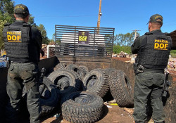 Carga do material ilícito encontrado em meio a carga de recicláveis (Imagem: Assessoria)