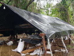 Senad destrói 1,5 tonelada de maconha acampamento na fronteira com MS