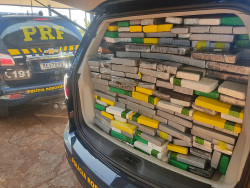 Polícia apreende meia tonelada de cocaína em carga de sal mineral