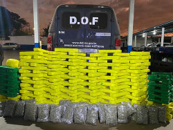 DOF prende casal com mais de 185 kg de drogas na MS 156