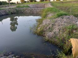Sitiante é multado em R$ 5 mil por tanques de peixe em área protegida