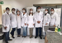 Pesquisa da UFGD confirma potencial do gengibre no combate a bactérias