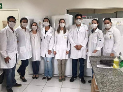 Pesquisa da UFGD confirma potencial do gengibre no combate a bactérias