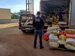 Mais 15 toneladas de drogas são incineradas pela polícia em Dourados