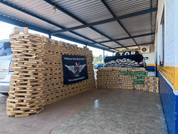 Mais de 1 tonelada de maconha é apreendida pela PMR