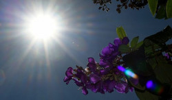 Quinta-feira tem previsão de tempo estável, com máxima de 33 em MS