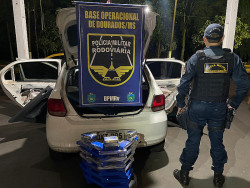 PMR apreende droga avaliada em R$ 270 mil escondida em mata