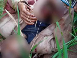 Identificado indígena morto por policiais do Choque em Amambai