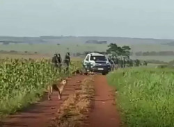 Por dívidas, União quer tomar fazenda "do conflito"