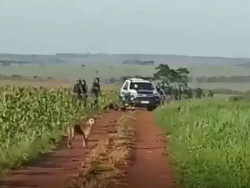 Por dívidas, União quer tomar fazenda "do conflito"