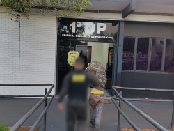 Motorista tenta fugir do DOF com carro roubado recheado de maconha