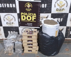 Homem é preso com drogas após ultrapassar viatura do DOF em alta velocidade