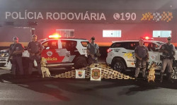 Ônibus de turismo que saiu de Dourados levava quase 100 quilos de cocaína