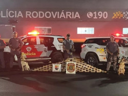 Ônibus de turismo que saiu de Dourados levava quase 100 quilos de cocaína
