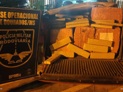 Carga de maconha avaliada em 1,5 milhões de reais é apreendida pela PMR
