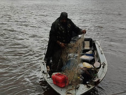 Ambiental autua 134 pessoas por pesca ilegal e apreende 527 kg de peixe