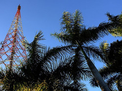 Terça-feira tem previsão de tempo firme e seco, com máxima de 32°C em MS