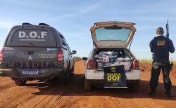 Produtos contrabandeados do Paraguai é apreendido pelo DOF em Itaporã