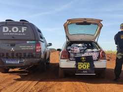 Produtos contrabandeados do Paraguai é apreendido pelo DOF em Itaporã