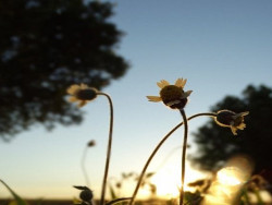 Quarta-feira será seca e com muito sol em Mato Grosso do Sul