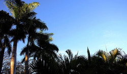 Meteorologia aponta mais um dia seco em MS e temperatura de 30 graus