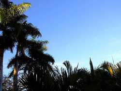 Meteorologia aponta mais um dia seco em MS e temperatura de 30 graus