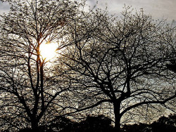 Sexta-feira será de ar seco, sol e poucas nuvens em MS