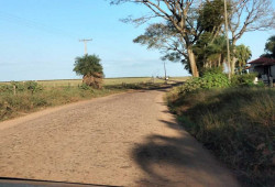 Corpo de mulher com marcas de tiros é encontrado na manhã de sexta-feira