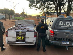 Mais de 1.700 pacotes de cigarros contrabandeados são apreendidos pelo DOF