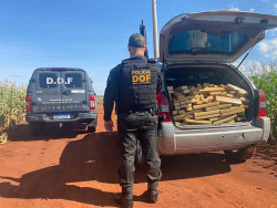 DOF apreende Tucson com quase 460 quilos de maconha em Ponta Porã