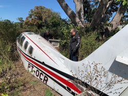 Polícia apreende avião usado por traficantes no Pantanal de MS