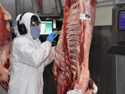 Exportações de carne cresceram quase 50% este ano em MS