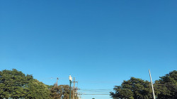 Madrugada tem frio de 9 graus e máxima de hoje deve ser de 25