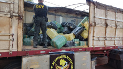 Quase 7 toneladas de maconha são apreendidas pelo DOF na MS-386