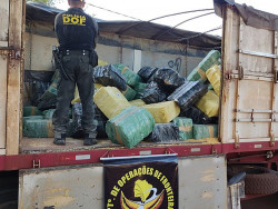 Quase 7 toneladas de maconha são apreendidas pelo DOF na MS-386