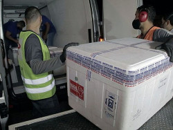 MS recebe 14º lote de vacina com 45,5 mil doses enviadas pelo Ministério da Saúde