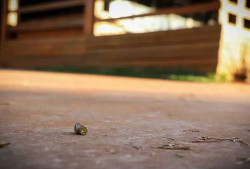 Vítima reage a assalto e mata ladrão a tiros na madrugada