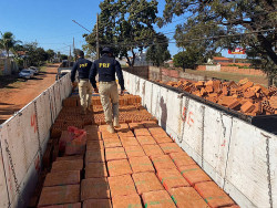 Polícia encontra 12 toneladas de maconha em caminhão com tijolos