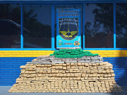 Mais de 470gk de maconha é apreendido pela PMR durante fiscalização