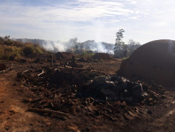 Operação já resgatou 337 trabalhadores em regime de escravidão