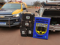 Quase 200 quilos de maconha são encontrados em Parati na MS-379