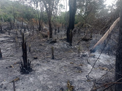 PMA aplica R$ 633 mil em multas por incêndios durante operação em MS