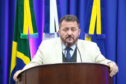 Laudir pede informações sobre paralisação de corte de galhos