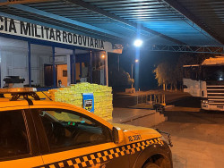 Polícia Rodoviária apreende 785 kg de maconha na fronteira