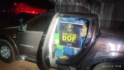 DOF apreende 725 quilos de maconha e recupera veículo furtado