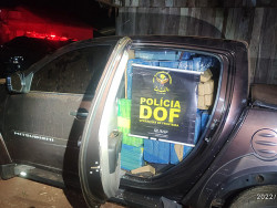 DOF apreende 725 quilos de maconha e recupera veículo furtado