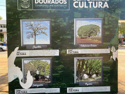 Pórticos da Praça Antônio João são atacados por vândalos