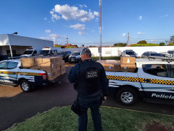 PM encontra entreposto de cigarros após averiguar denuncia de roubo