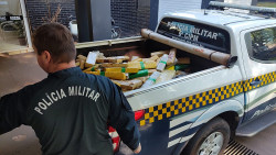 Traficante capota veículo carregado com maconha é socorrido e preso pela PM