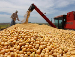 Centro-Oeste tem maior crescimento na produção de grãos do país